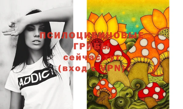 спиды Алзамай