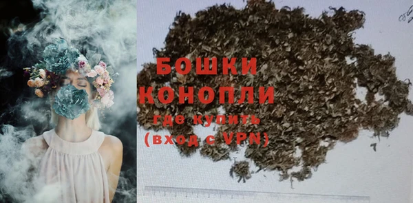 шишки Ладушкин