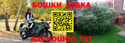 прущие грибы Боровичи